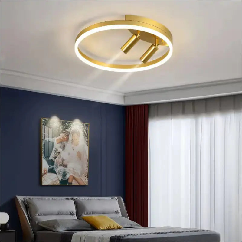 New Luxury Personalized Ceiling Lamp